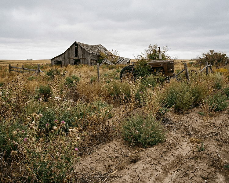 耕作放棄地の抽出・管理の利用イメージ